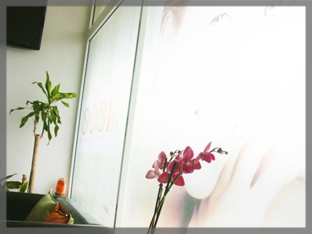 Interior da Clínica MECE — parede iluminada e uma orquídea junto ao vidro